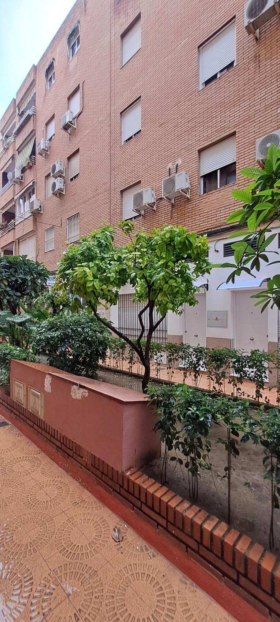 Apartamentos Suite Sol 科爾多瓦 外观 照片